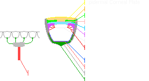 Eye diagram